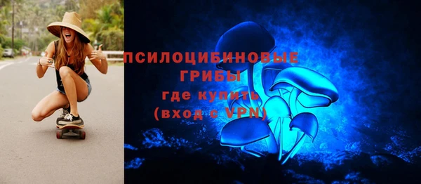 PSILOCYBIN Покров